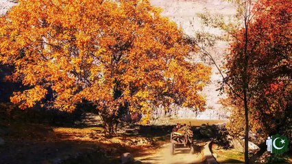 ہم گلگت بلتستان کے ہیں | امن گانا | Passu Times Multimedia