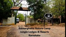 Bannerghatta Nature Camp - Jungle Lodges & Resorts - Bangalore, Karnataka
