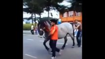 OMG !!! Horse Kicks the Man on Face - Amazing