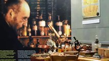 Museo de Ciencias Naturales de Valencia - Museos: Visiones de España (esp)