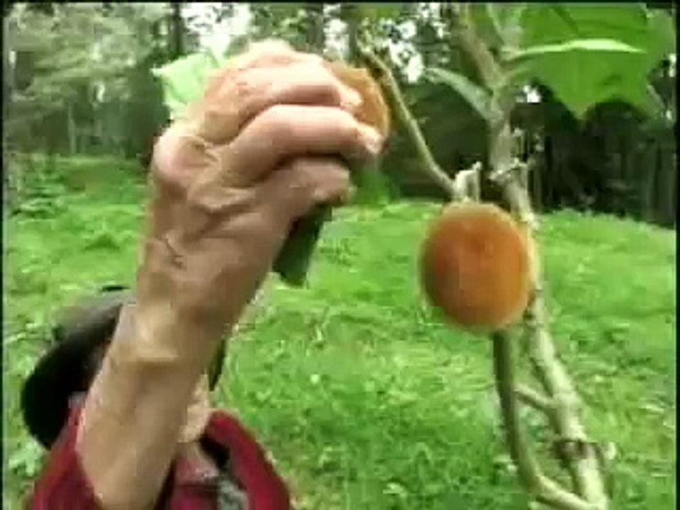 La vida detrás del salto
