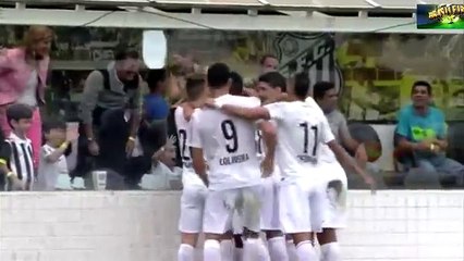 Santos 2-2 Sport Recife ~ [Brasileirao] - 31.05.2015 - Golos & Resumo