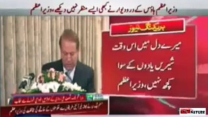 A Tribute to PMLN Leadership For Gracefully Upholding The Highest Morals & Ethics.