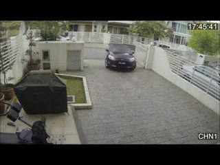 Brave Girl vs Snatchers