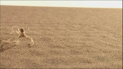 Epic Spider Roll by velmax30