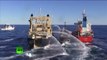Antártida: Pequeño barco de Sea Shepherd se enfrenta a cazadores de ballenas japoneses