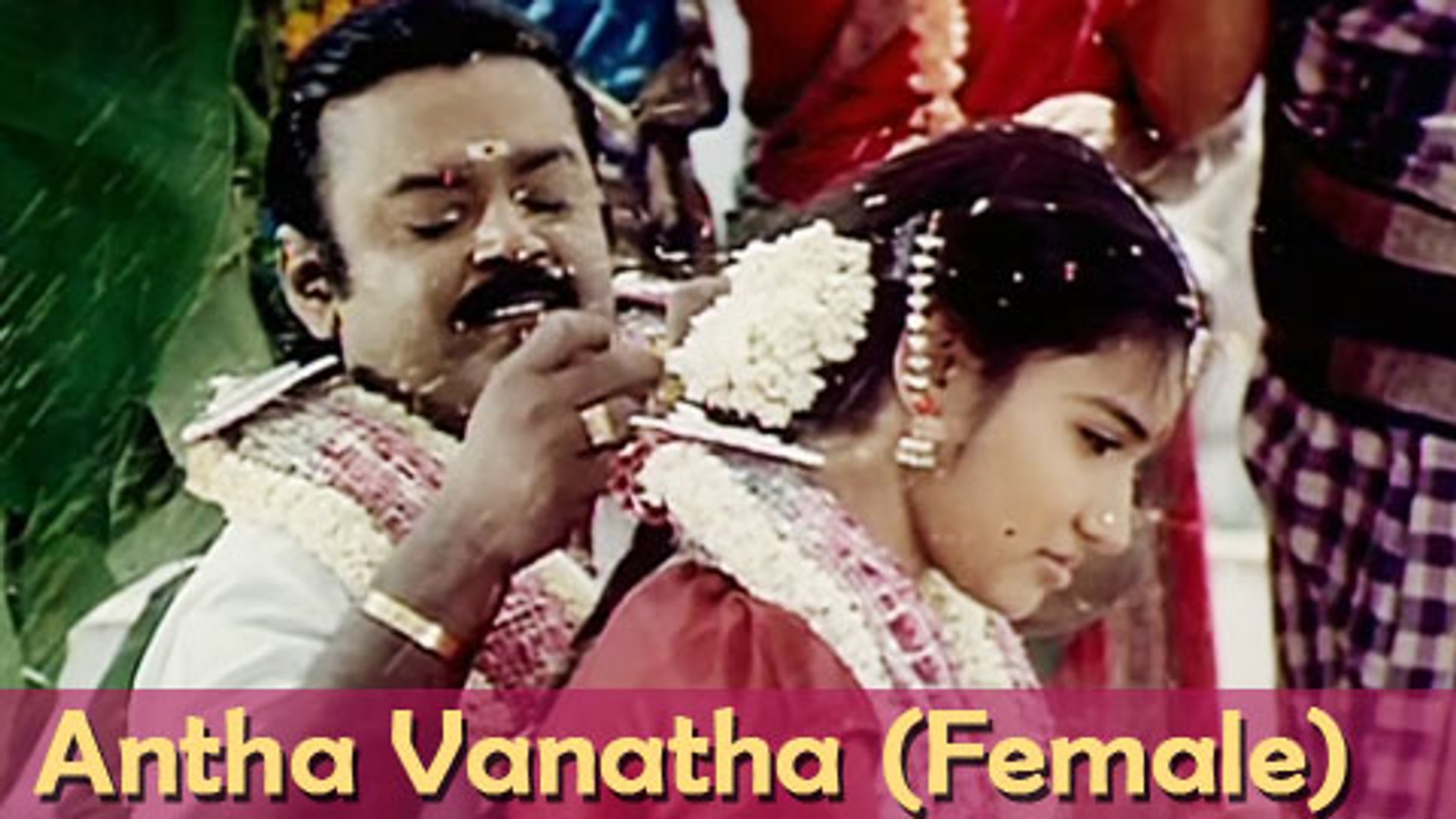Antha Vanatha (Male) - Vijaykanth, Sukanya - Chinna Gounder - Ilaiyaraja  Hits - Tamil Song - video Dailymotion
