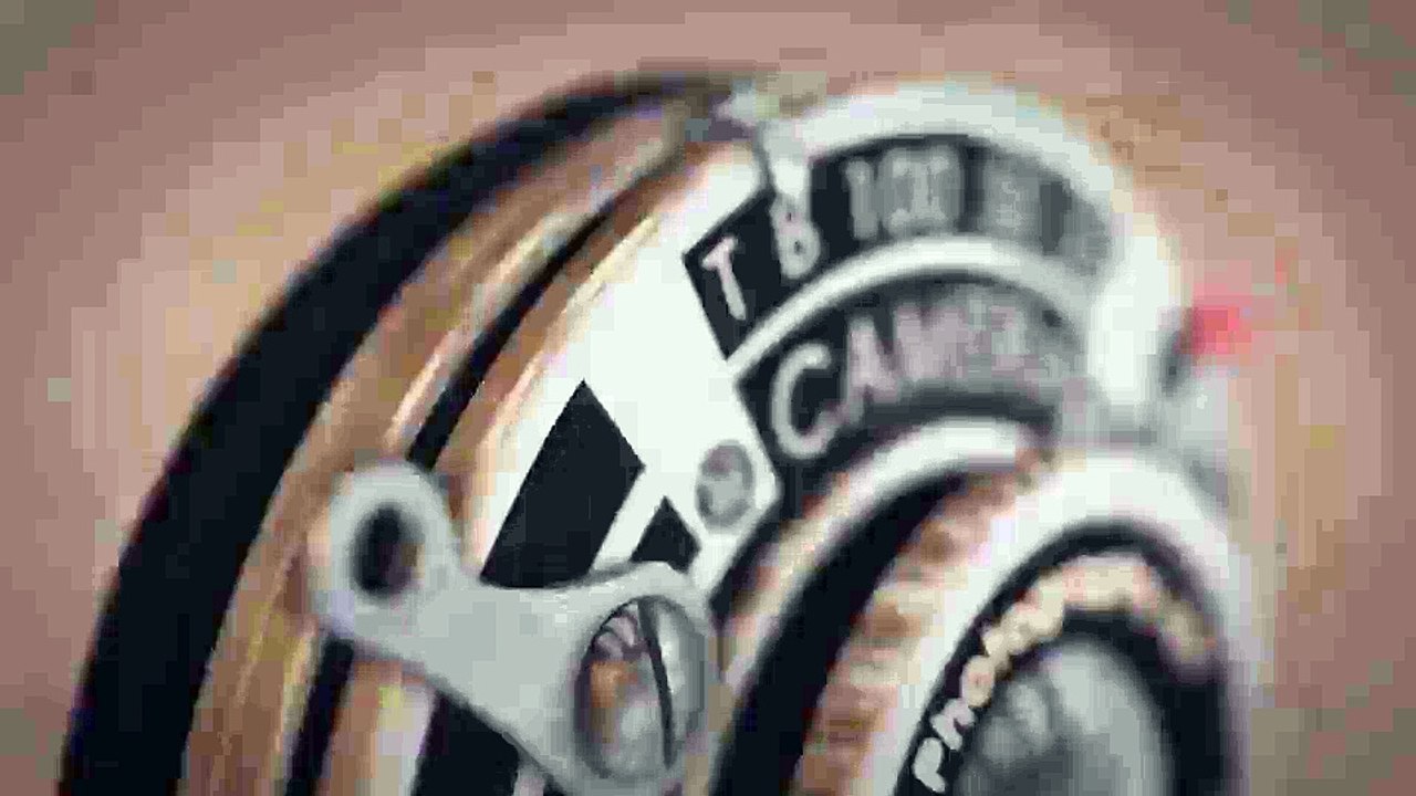 After Effects Project Files - Wedding Photographers Logo - VideoHive 10000168