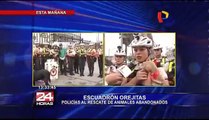 Escuadrón “Orejitas” de la Policía rescata animales de la calle