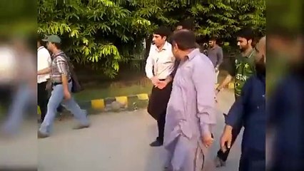 Misbah entering in Stadium PAK vs ZIM ODI Match