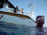 Scuba Diving Belize Barrier Reef