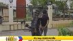 2 alleged MNLF members killed in Zambo