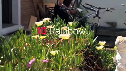 After Effects Project Files - Rainbow Lower Third - VideoHive 8329563