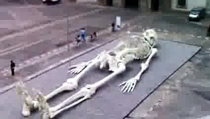 Giant Humans Of The Past - Real Skeleton Of A Giant