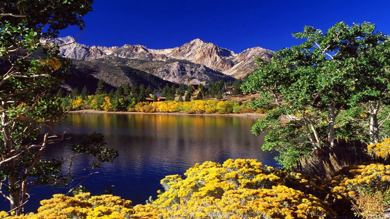 ► Planet Earth: Amazing nature scenery (1080p HD)