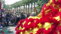 Lion Dancers - Northern Shaolim Kung Fu Association - Lunar New Year at Disney California Adventure