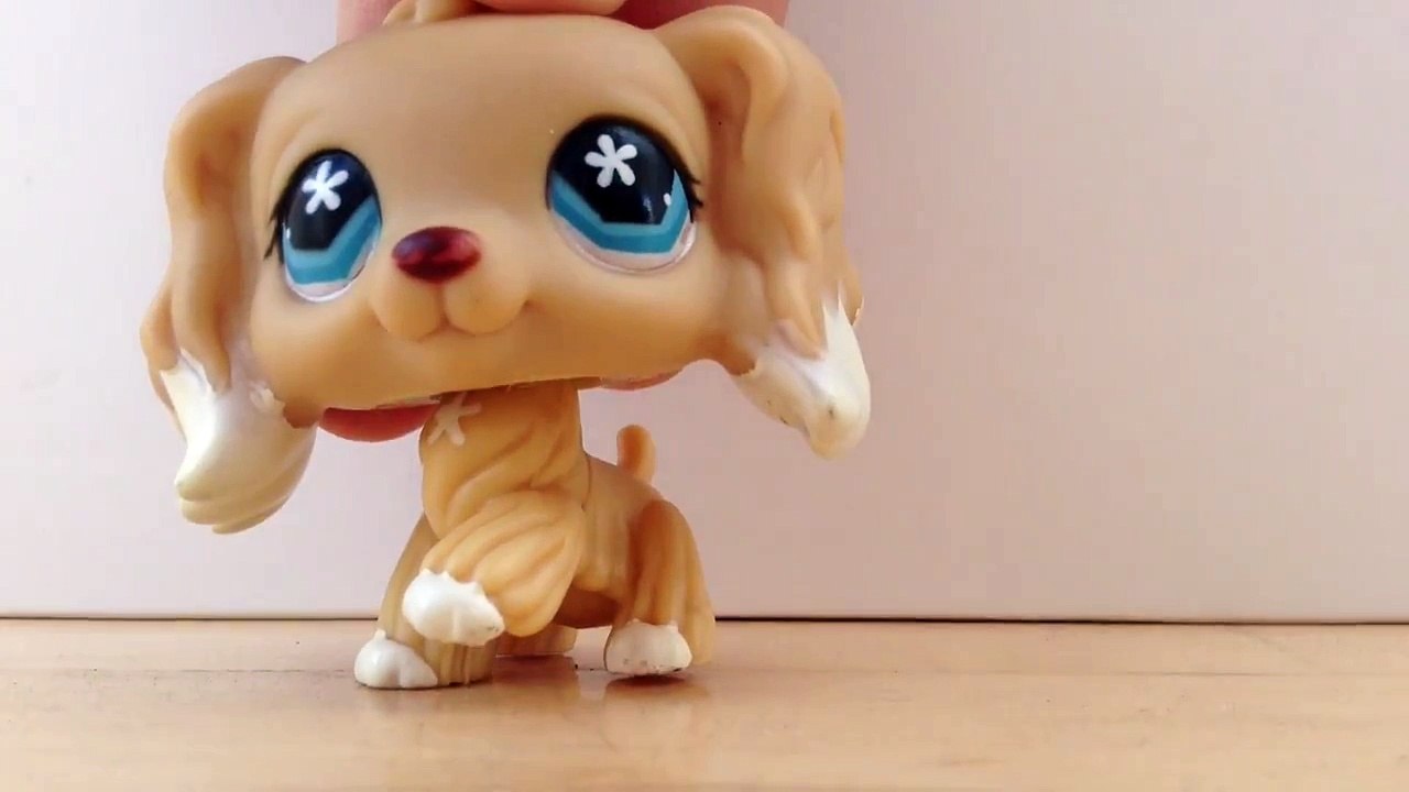 Lps- Please Watch!!! New Camera......iPad Mini!!!! Lpssophine Soph Ine