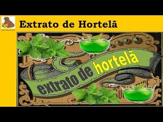 Receita do extrato de hortelã (rápida e fácil)