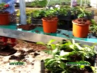 218 Bayındır Cicek