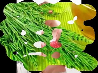 Infusión de diente de león y cola de caballo, todas sus propiedades