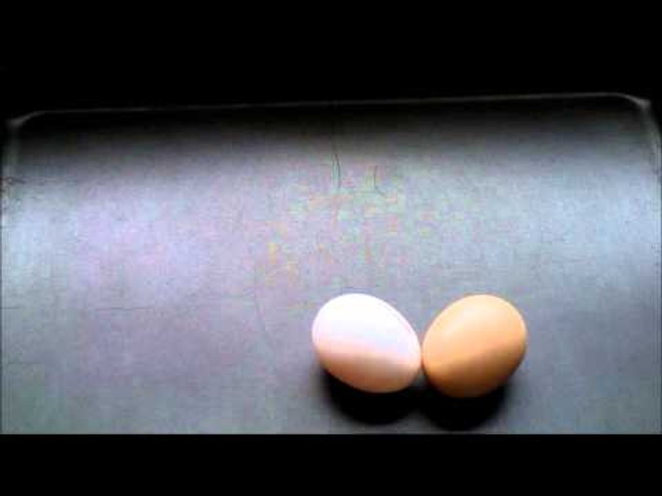 A dica para reconhecer um ovo fresco e um ovo cozido HD