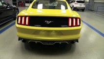2015 MUSTANG GT, ROUSH RS RS1 RS2 RS3 FIRST LOOK 15 IN STOCK shelby gt500