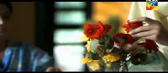 Mol Episode 1 Part 1 HUM TV Drama May 30, 2015