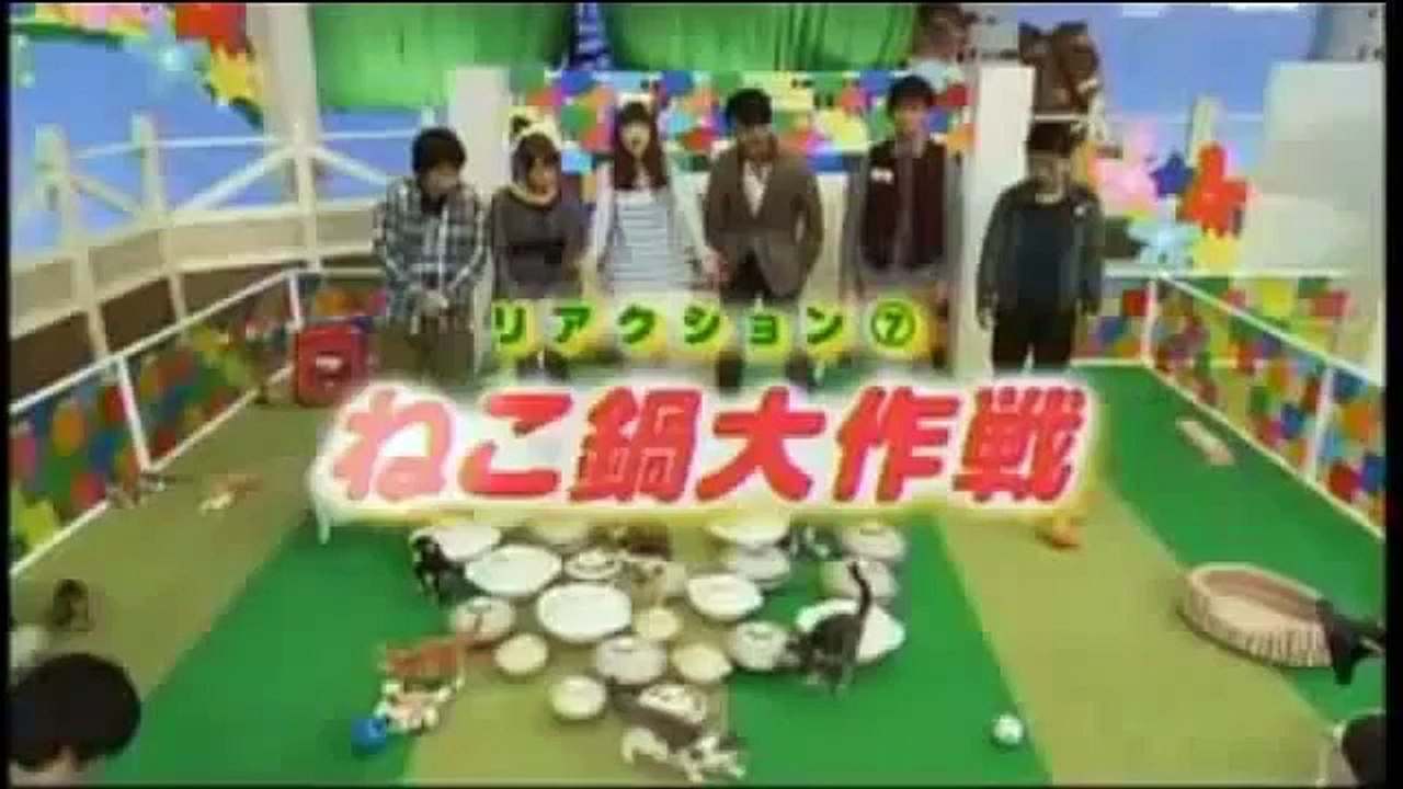 貓咪找適合自己的鍋蓋來休息