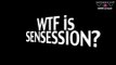 WTF is Sensession? - Sensession (2000-actual): DJ's-video-analistas de videojuegos!