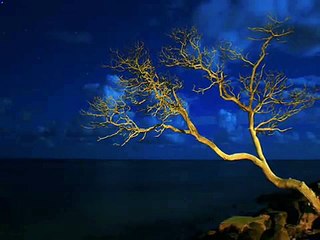 Deep Forest - Sweet Lullaby (Ambient Mix)