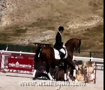 Doma clásica con caballo arabe