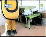Flinging cats by the tail on Hamas TV