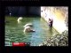 Woman attacked by Polar Bears at Berlin Zoo - Woman attacked by Polar Bears at Berlin Zoo - Polar