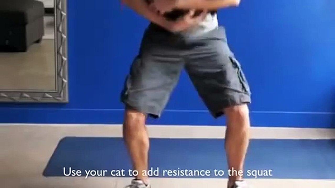 Gym and cats