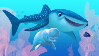 Watch Finding Dory Full Movie Free Online Streaming