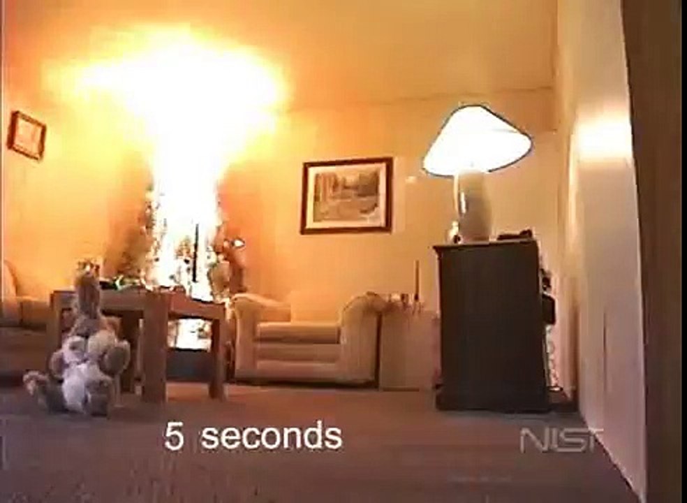 Christmas Tree Fire from National Institute of Standards and Technology's (NIST)