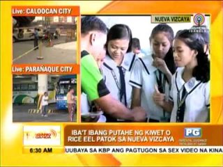 Watch  How to eat rice eel