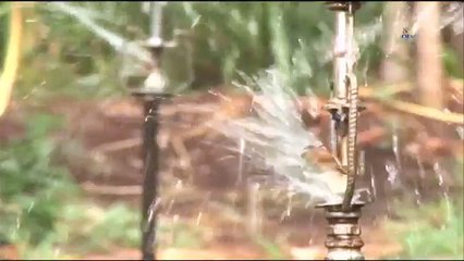 Wrong use of irrigation leading to salination of soils globally