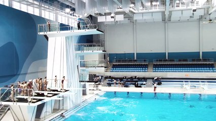 Amazing Dives 2: featuring Vincent Riendeau