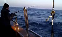 Dorsche angeln auf der Ostsee