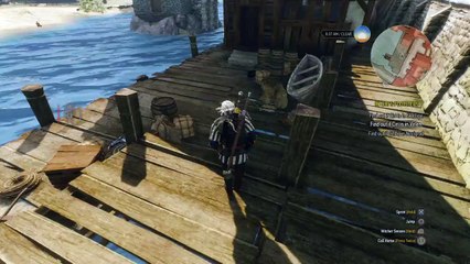The Witcher 3: Wild Glitch