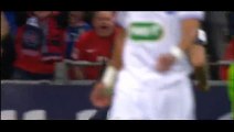 Goal Edinson Cavani - Auxerre 0-1 PSG - 30-05-2015