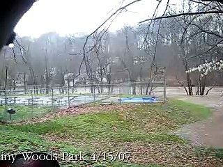 Neshaminy Creek Flooding