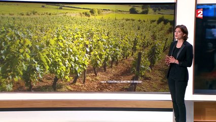 Les vignobles français attirent les convoitises