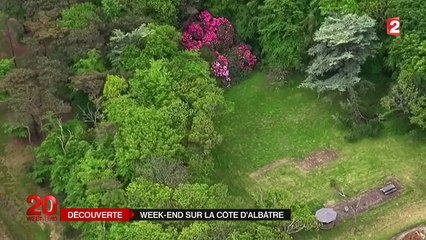 Voyage sur la côte d’Albâtre