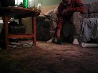 Dweezel (Caique) fetching