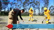Bomberos enseñan a combatir incendios forestales