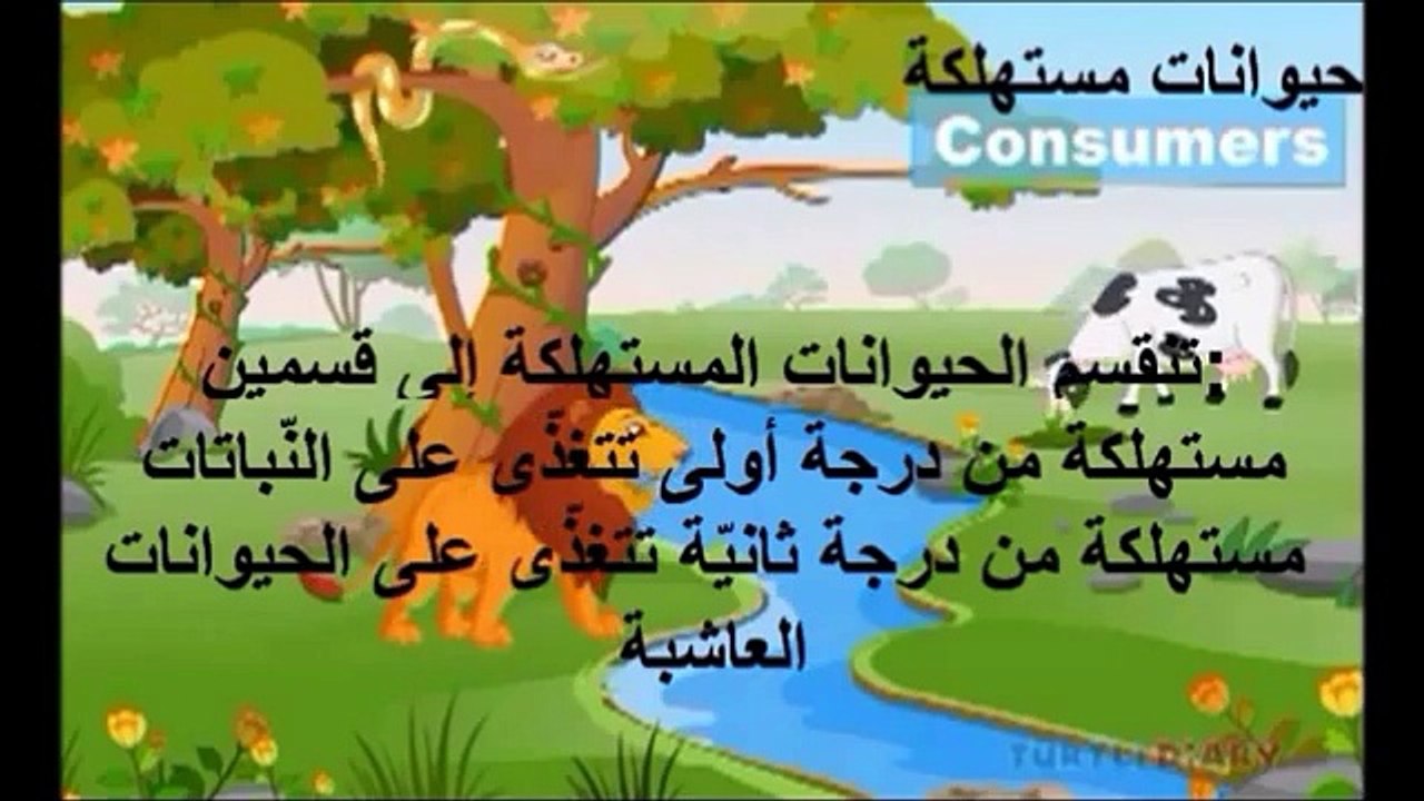 السلسلة الغذائية