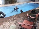 Really Funny - Girls getting thrown fully clothed into the pool