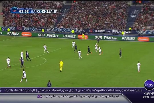 Finale de la Coupe de France PSG 1 - Auxerre 0 le 30 mai 2015